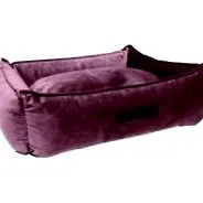 áron