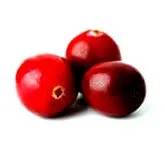 kaki