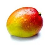 napi