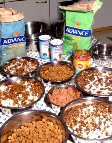 vânătură