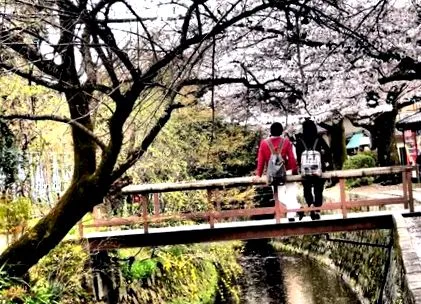 japoneze