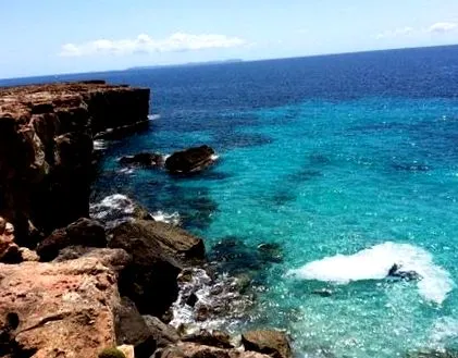 finca