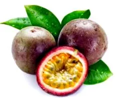 calorii