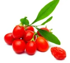 fructe