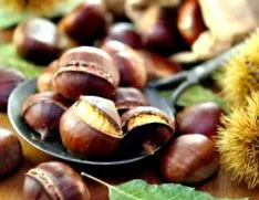 calorii