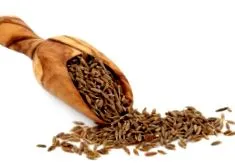 kalória kalória