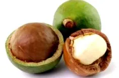 calorii