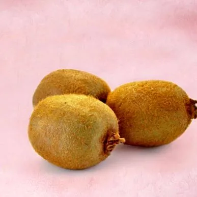 rendelkező