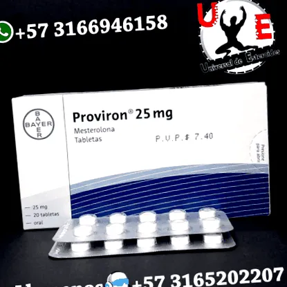 bayer