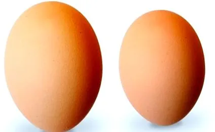 яйца
