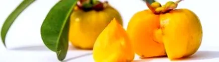 garcinia