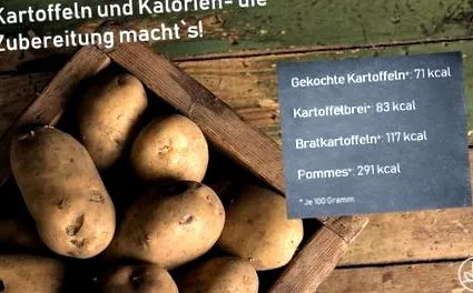 calorii calorii