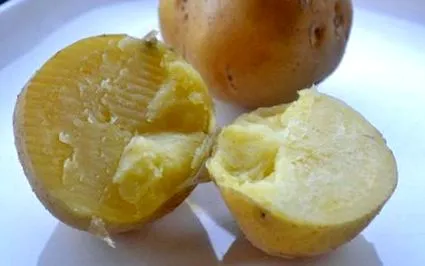 recept