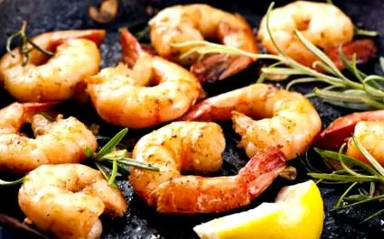 keto ketogén