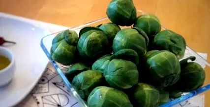 зеле зелка