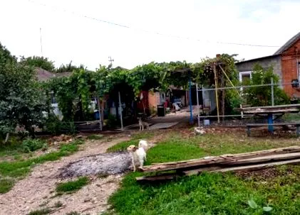 ladoscskaja