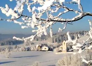 schwarzwald tourismus