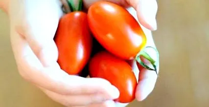 hozzáadott színező