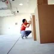 proiecte