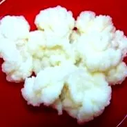 tejgomba
