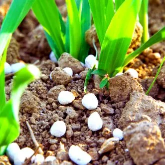agriculture minerals