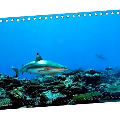 biroului