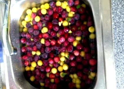 mirabelle