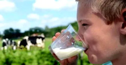 húskészítmények