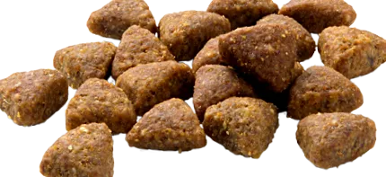 legkiválóbb