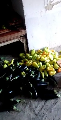 впечатоци