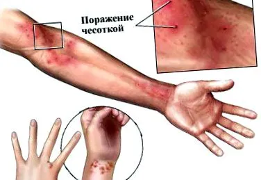 instrucțiuni