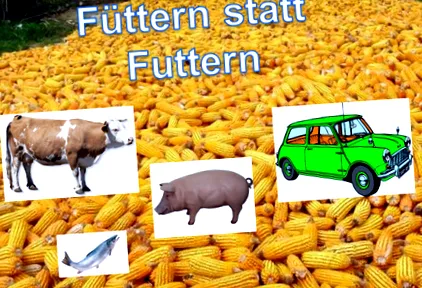 táplálkozási