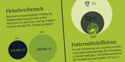 élelmiszer-fogyasztás révén