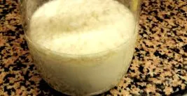 kefir
