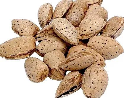 alkáli