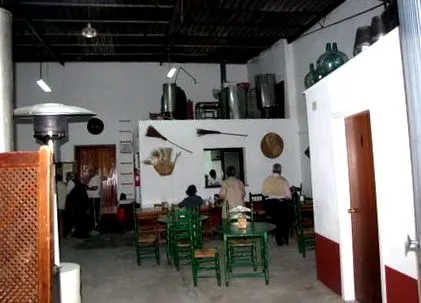 ynopisto