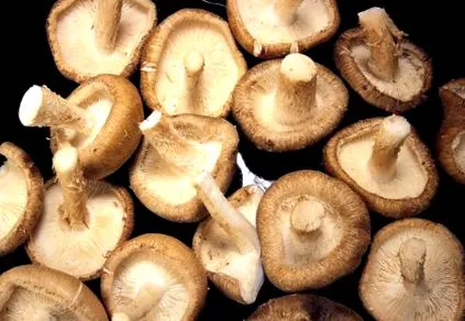 hatalmas