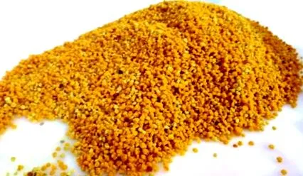 pollen