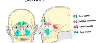 felemeli