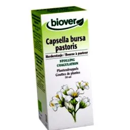 pastoris