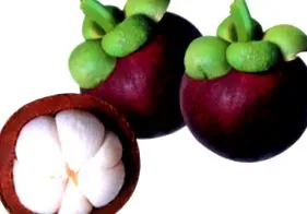 garcinia