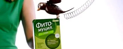 fogyni
