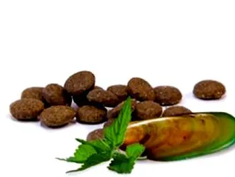 cerințele nutriționale