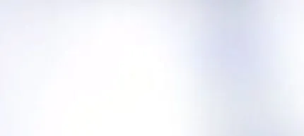 zsíros