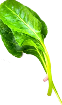 planificați-vă