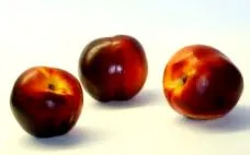 gyümölcs