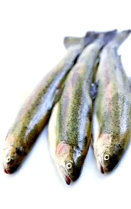 omega-3