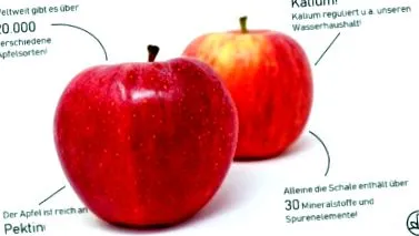 fructe pagina