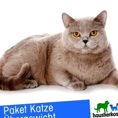 pachete 500g