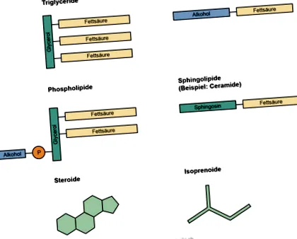 pharmawiki